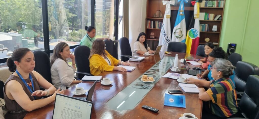 Olga Hernández como delegada de la Red Niña Niño en la Coalición EPU participando con autoridades de COPADEH